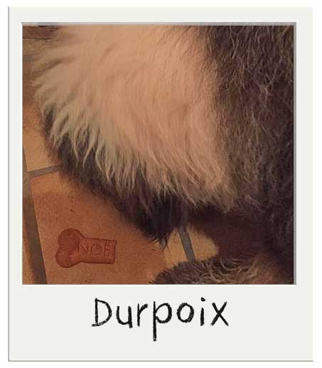 Durpoix